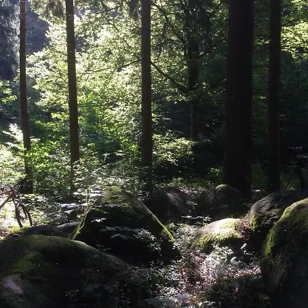 Waldchalet Am Steinberg