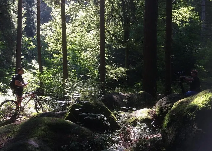 Waldchalet Am Steinberg