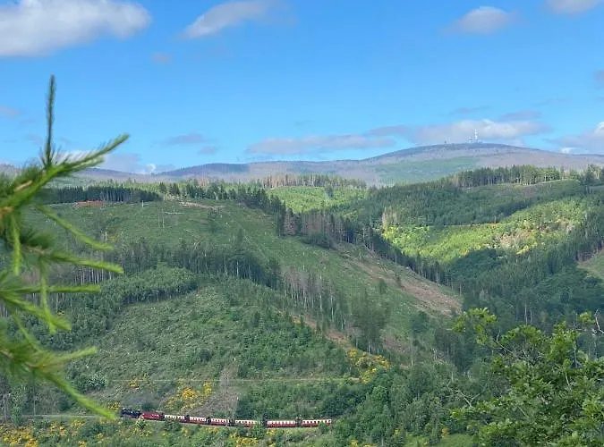 Waldchalet Am Steinberg